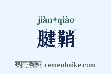 腱鞘是什么意思的图片